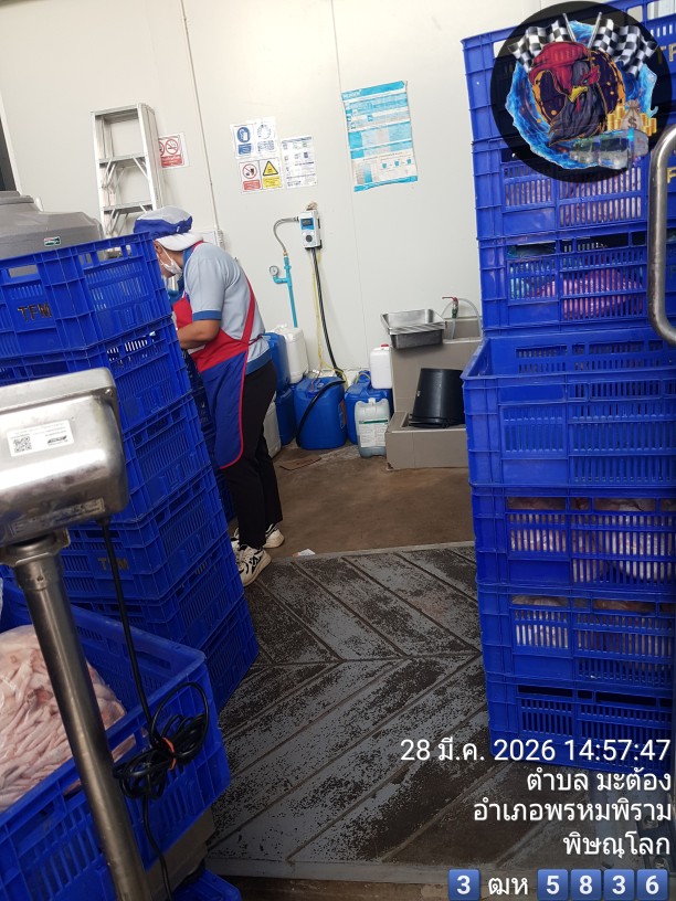 TO20260300694 | DXplace